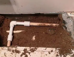 鸡泽测漏水哪家好